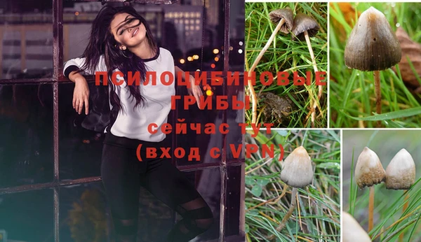 соль ск Балахна