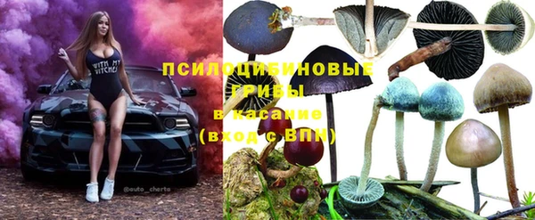 молекула духа Балабаново