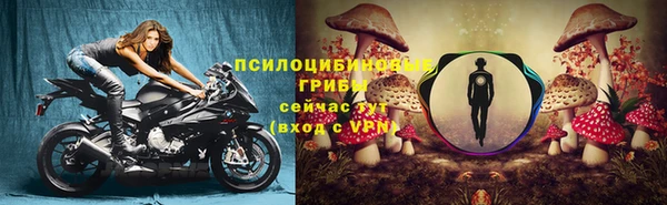 соль ск Балахна