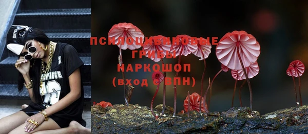 соль ск Балахна