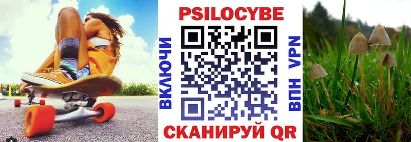 гидра ТОР  Белово  Псилоцибиновые грибы Psilocybe 