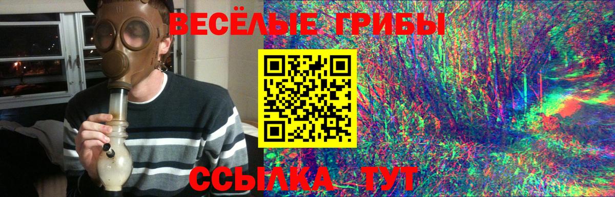 Белово  Псилоцибиновые грибы прущие грибы  Вход с VPN 